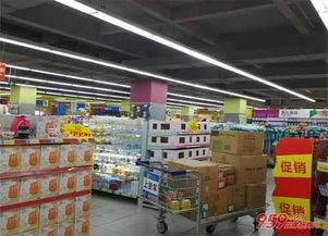 投資辦什么廠投資小利潤大？三大低投入高回報的創業項目解析